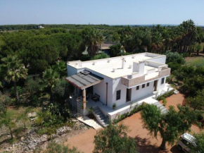 B&B DONNAGLORIA
